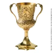 The Helga Hufflepuff Cup (NN8689)