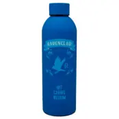 Harry Potter Ravenclaw stainless steel bottle 700ml