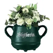 Harry Potter - Cauldron Slytherin - Wall Mounted Flower Pot