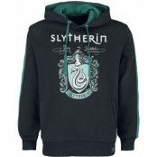 Harry Potter Luvtröja - Slytherin - S XXL - för Herr - flerfärgad