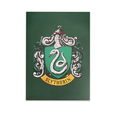 Harry Potter - Slytherin - A5 Exercise Book