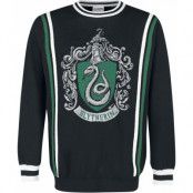 Harry Potter Stickad jumper - Slytherin - S XXL - för Herr - flerfärgad