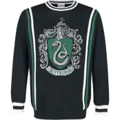 Harry Potter Stickad jumper - Slytherin - S L - för Herr - flerfärgad
