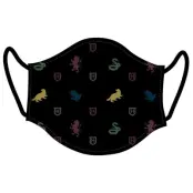 Harry Potter reusable adult face mask