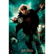 Pussel Harry Potter Ron Weasley Prime 3D 300pcs