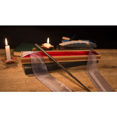 Sirius Black Wand I Ollivanders Box