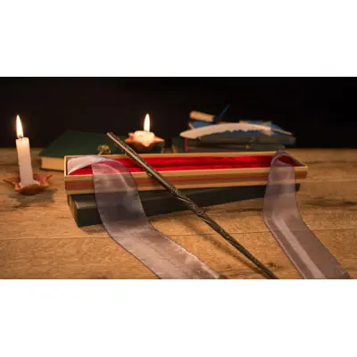 Sirius Black Wand I Ollivanders Box
