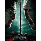 Harry Potter - Glass Print - Harry / Voldemort - 30X40 Cm