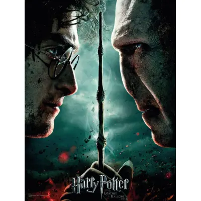 Harry Potter - Glass Print - Harry / Voldemort - 30X40 Cm