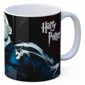 Harry Potter Voldemort Mug